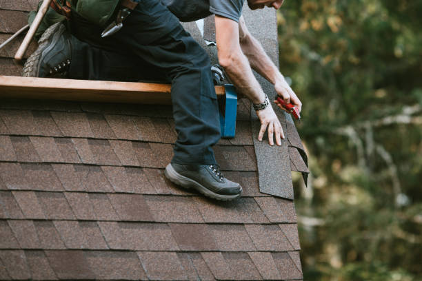 Best Roof Gutter Cleaning  in Richmond Heights, OH